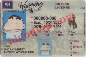 Wyoming-fake-id